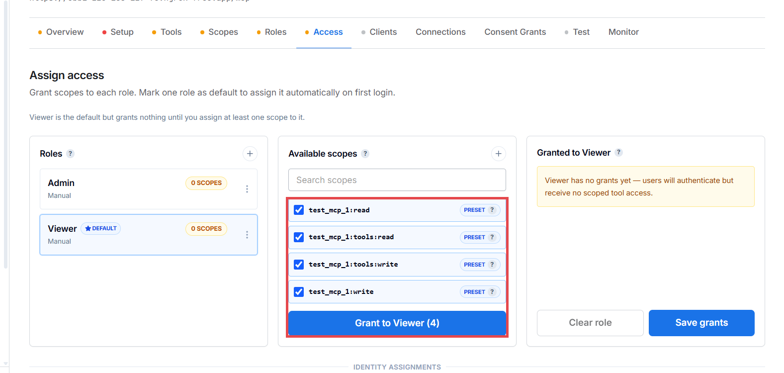 Access tab — ticking scopes for the Viewer role