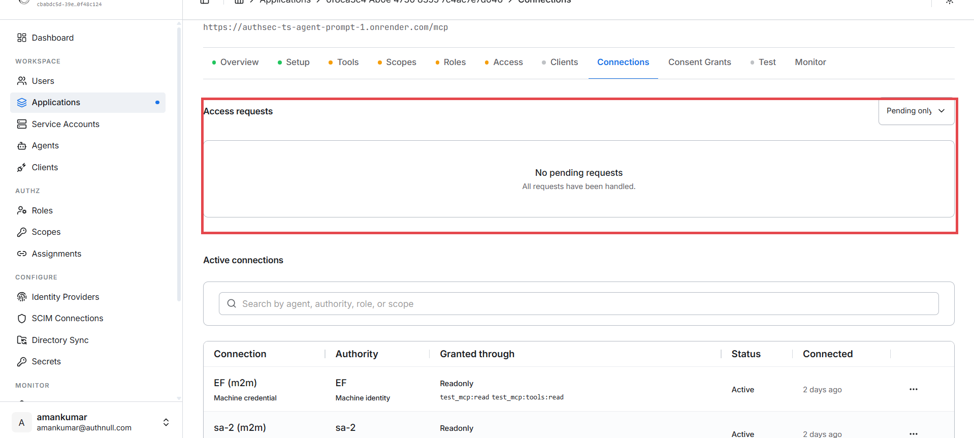 Connections tab — access requests and active connections